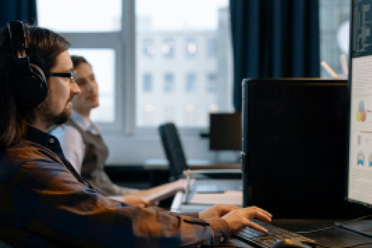 Data Analysts